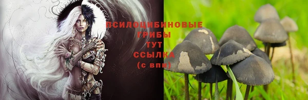 мескалин Лагань