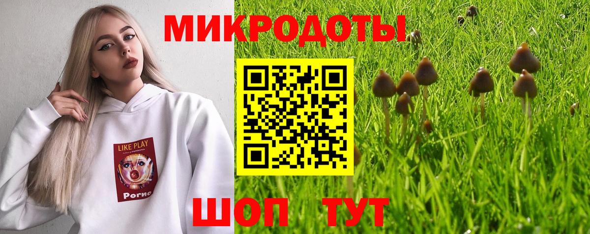 Псилоцибиновые грибы Magic Shrooms Карталы