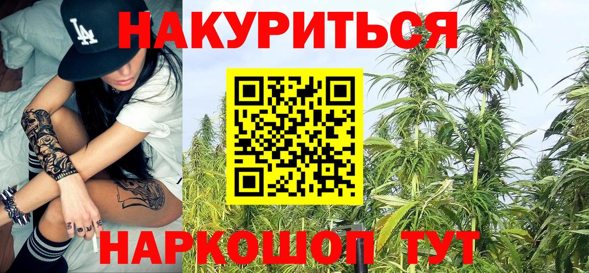 Конопля план  Канабис Ganja  Карталы  Конопля Bruce Banner  Вход с VPN  Марихуана сатива 